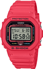 Часы Casio G-Shock DW-5600EP-4D