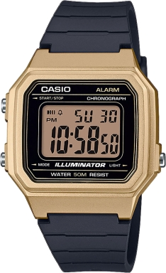Часы Casio Collection W-217HM-9A