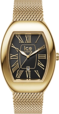 Часы Ice-Watch ICE boliday - Dome 24486