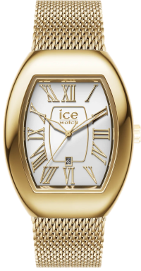 Часы Ice-Watch ICE boliday - Dome 24487