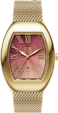 Часы Ice-Watch ICE boliday - Dome 24488