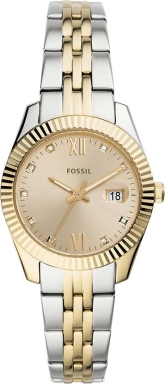 Часы Fossil Scarlette Mini ES4949