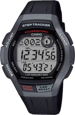 Часы Casio Collection WS-2000H-1AVEF