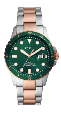 Fossil FS5743