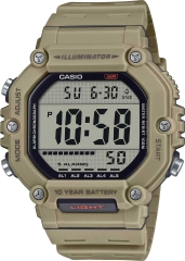 Часы Casio Collection AE-1600H-5A