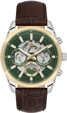 Часы Bigotti Raffinato BG.1.10562-5